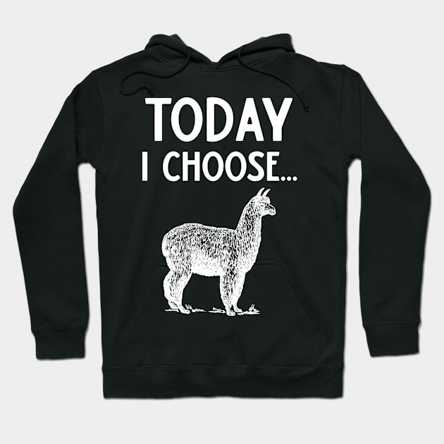 Today I Choose Alpacas Hoodie by DANPUBLIC